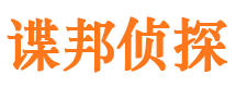 正蓝旗市调查公司